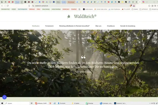 Screenshot URL WaldReich Sachsen